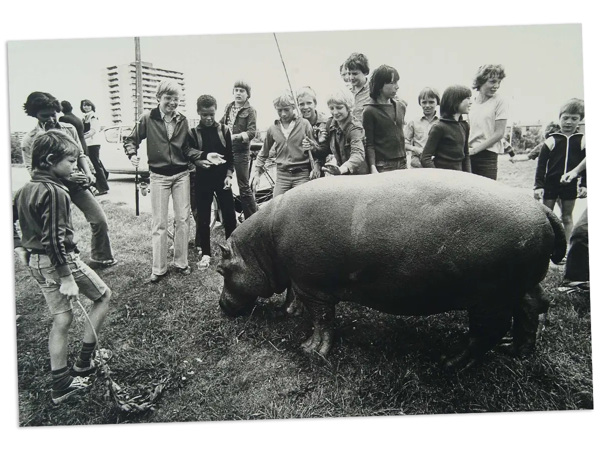 Geschiedenis afbeelding